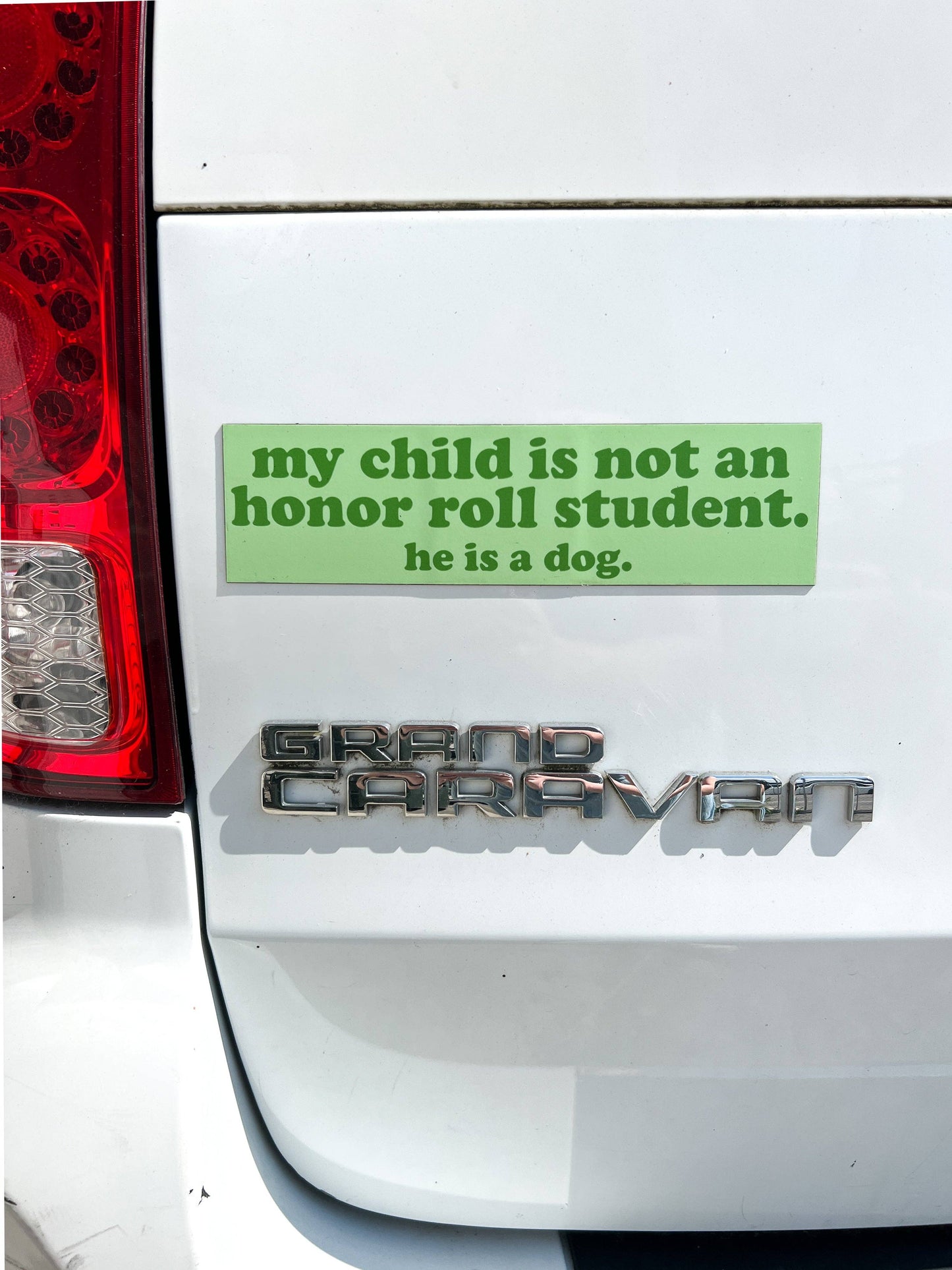 Honor Roll Dog Car Magnet - Green/Boy