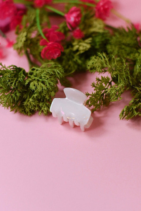 Mini Acrylic Hair Clip
