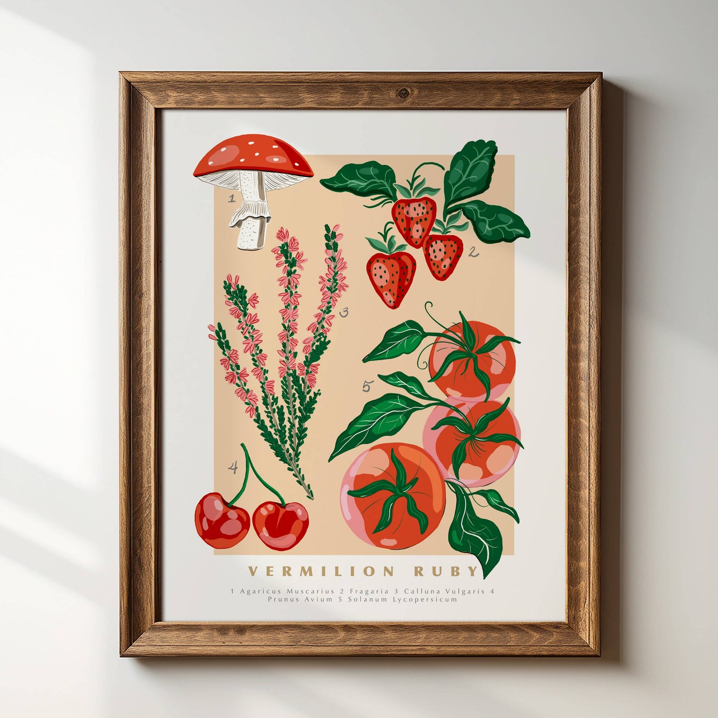 "Vermilion Ruby - scientific" Art Print