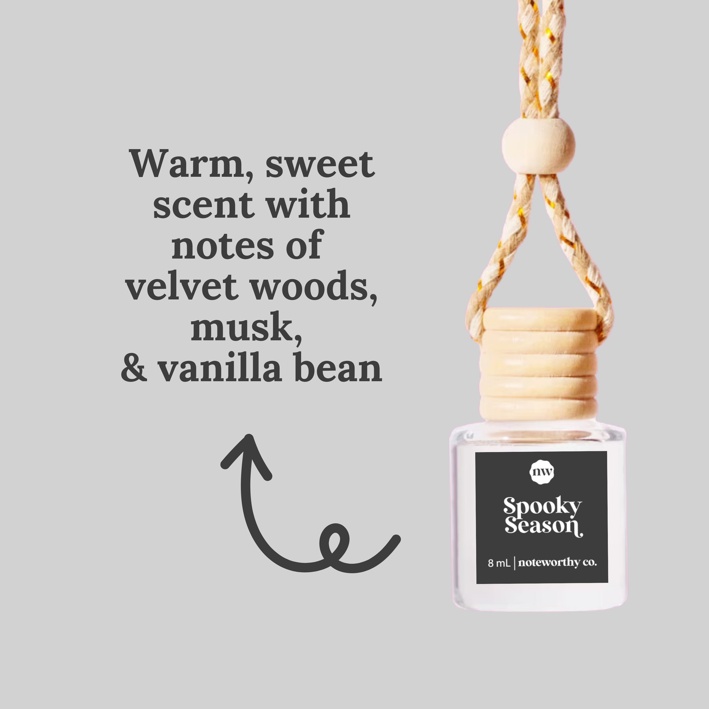 Scented Oil Car Hanger Diffusers - NEW Fall Scents