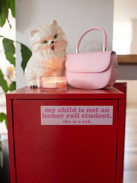 Honor Roll Cat Bumper Magnet- Pink/Girl