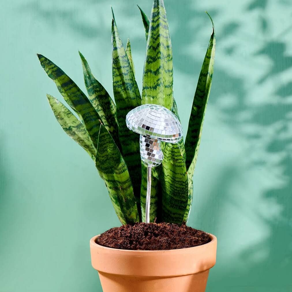 Disco Mushroom - Decorative Plant Stake