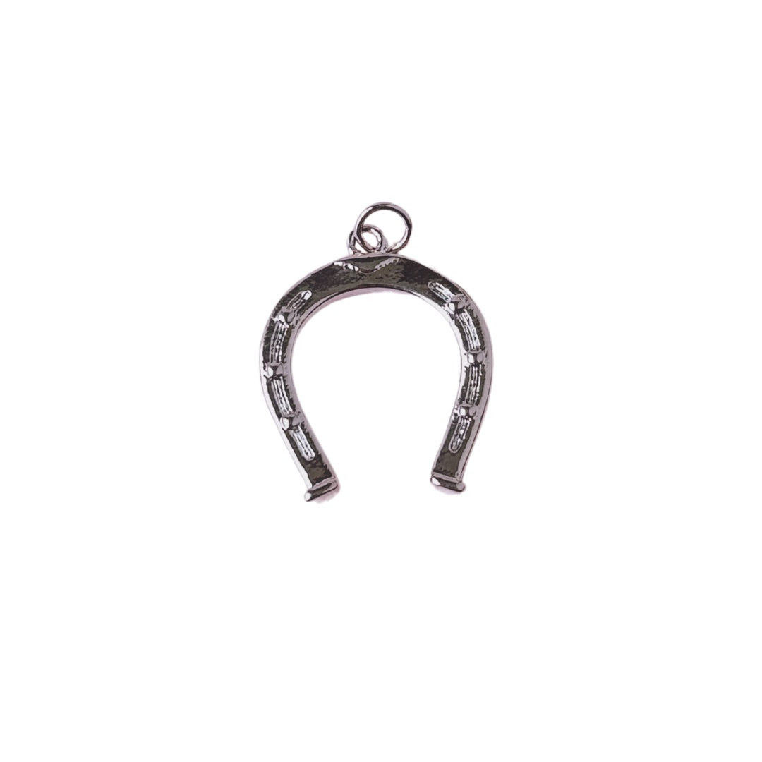 Lucky Horseshoe Silver Charm