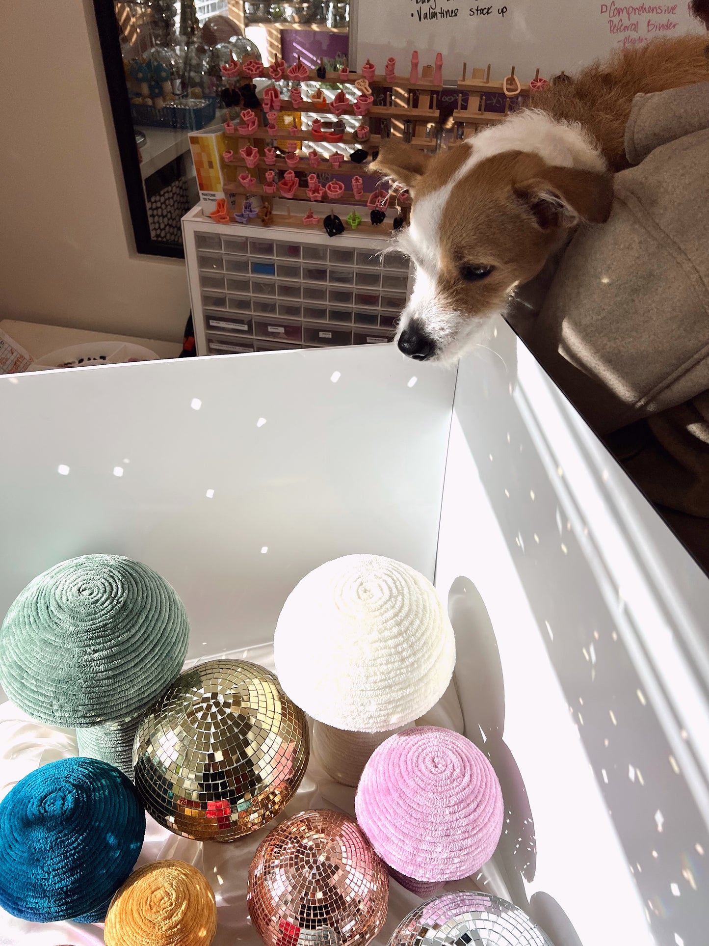 Customizable Velvet + Disco Shroomie Trio