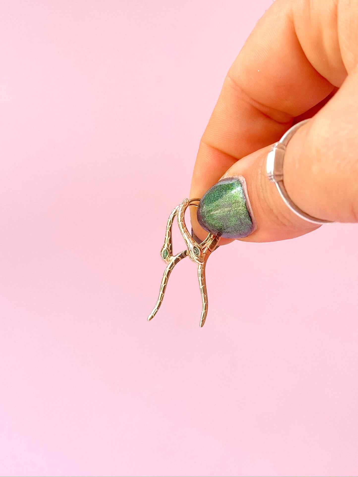 Reptilian Hoops