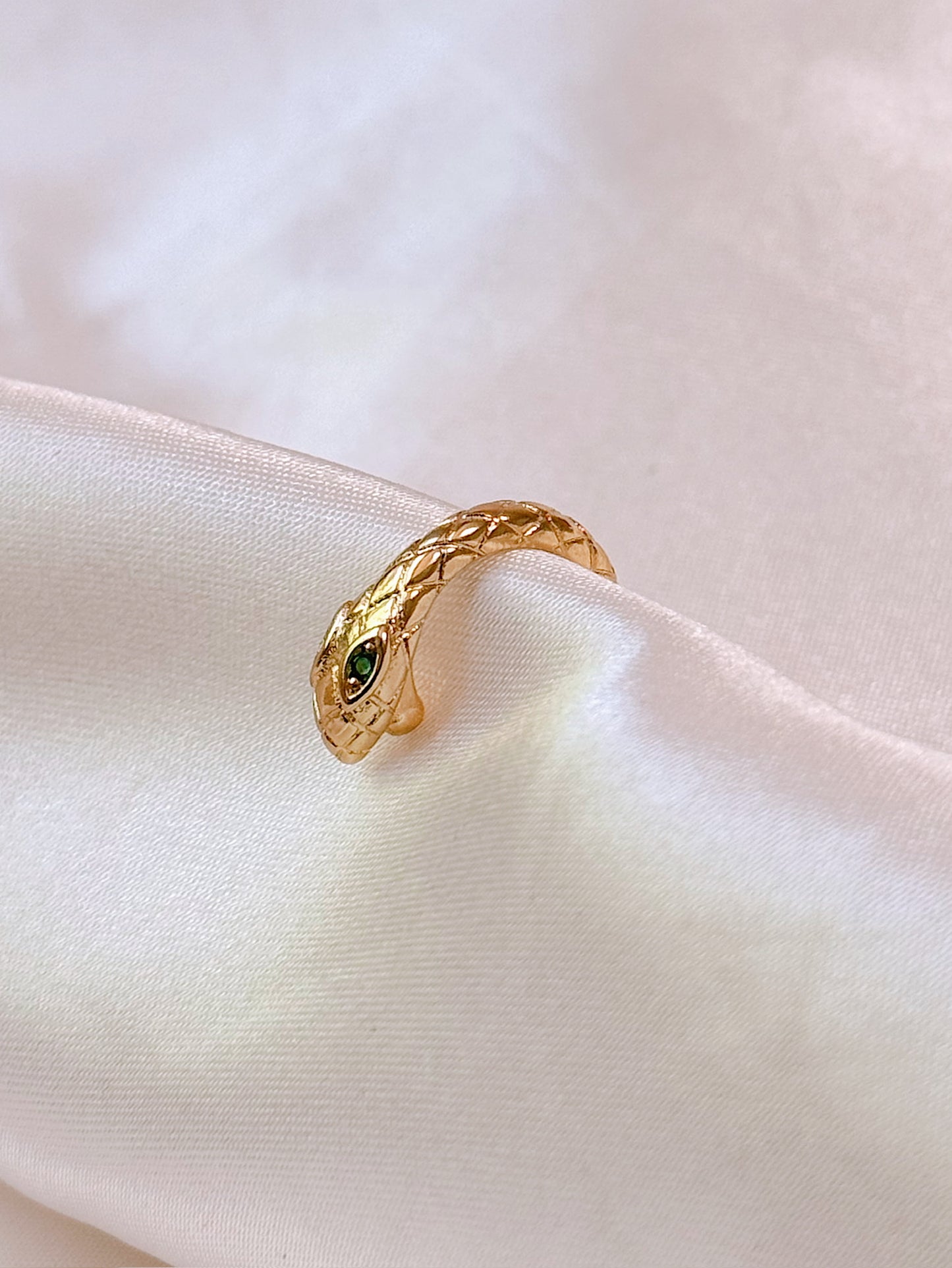 Big Reputation Snake Ear Cuff