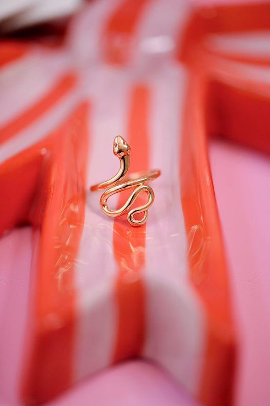 Snake Ring (Gold + Silver)