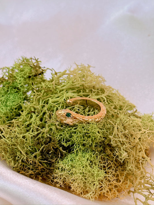 Big Reputation Snake Ear Cuff