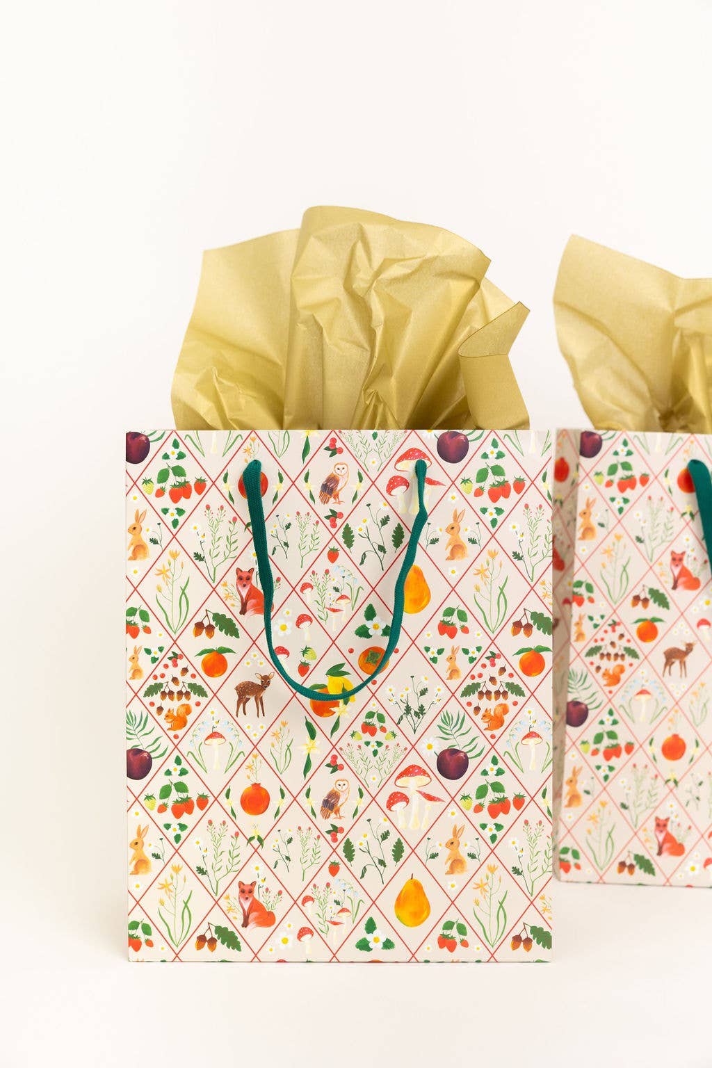 Flora + Fauna Gift Bag
