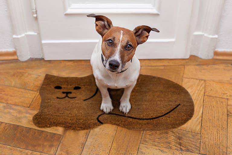 Resting Cat Shaped Doormat