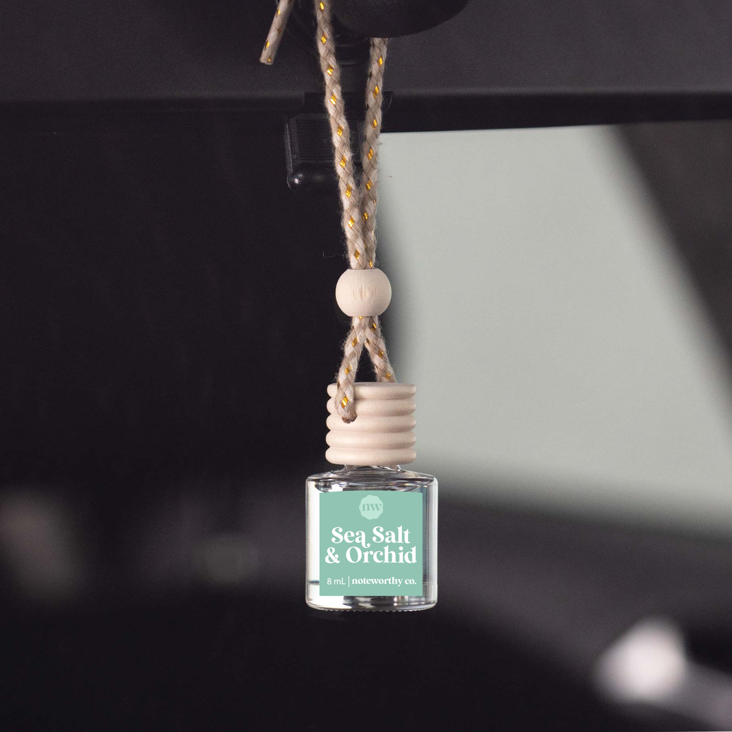 Essential Oil Car Hanger Diffusers
