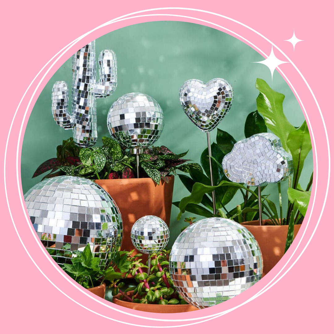 Plant Accessories