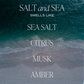 Salt and Sea Amber Reed Diffuser