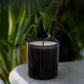 Stargaze 9 oz. Candle