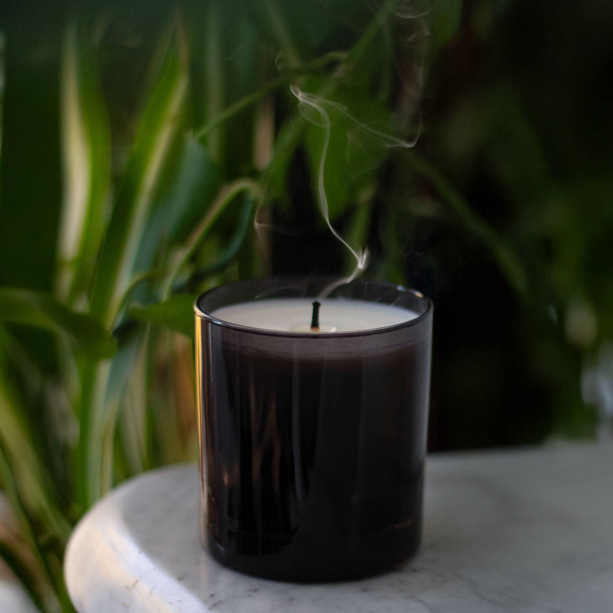 Stargaze 9 oz. Candle