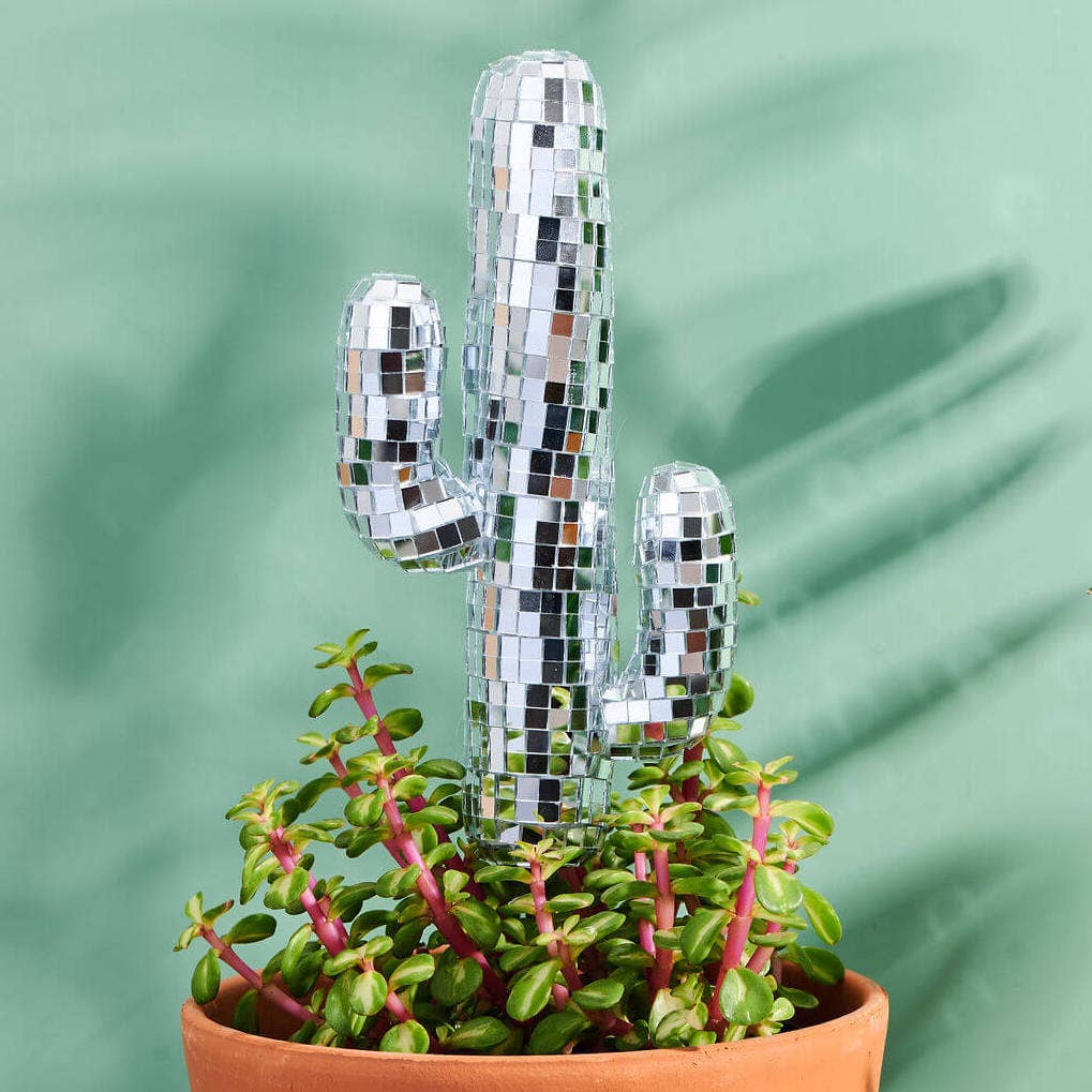 Disco Cactus - Decorative Plant Stake