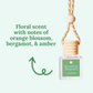 Scented Oil Car Hanger Diffusers | Core Collection