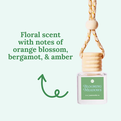Scented Oil Car Hanger Diffusers | Core Collection