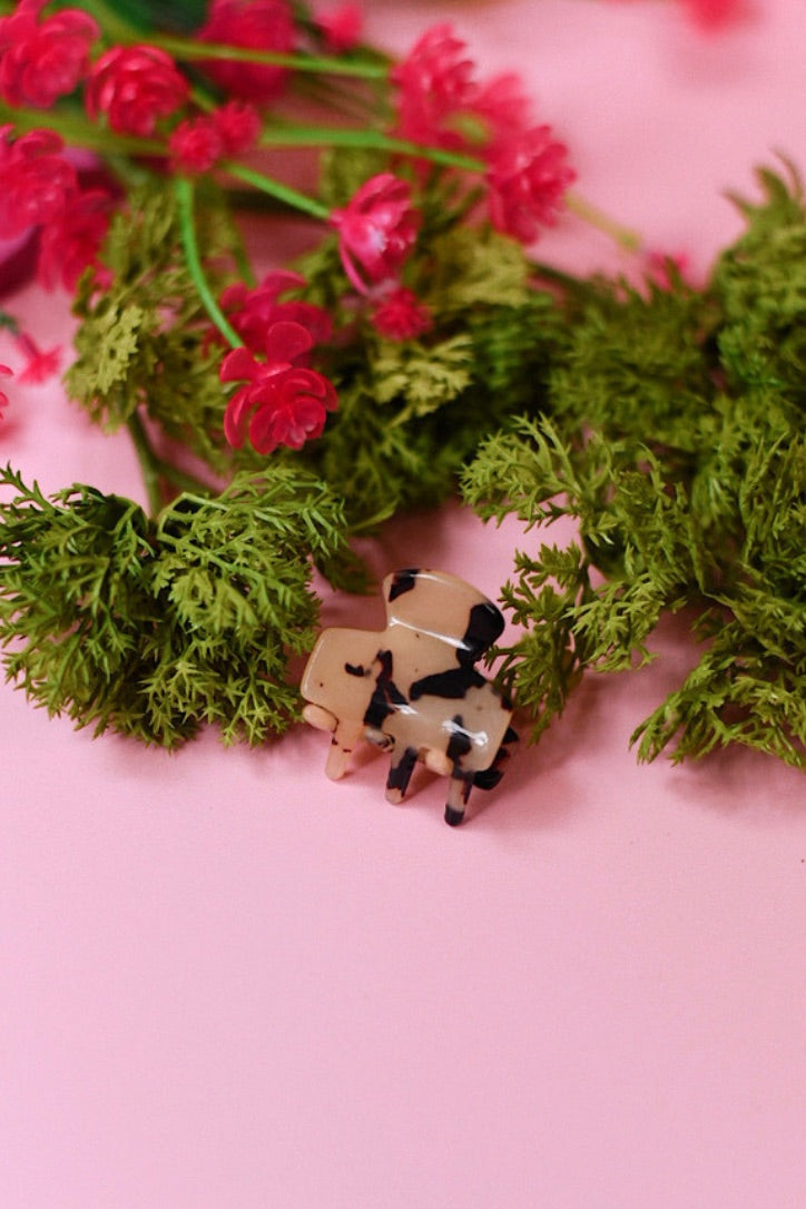 Mini Acrylic Hair Clip
