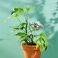 Disco Planet - Decorative Plant Stake