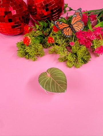 Monstera Leaf Phone Grip