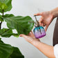 Ombre Plant Mister