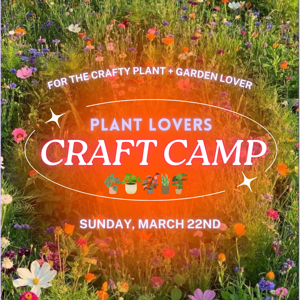Craft Camp