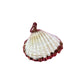 Gold Laced Shell Charm