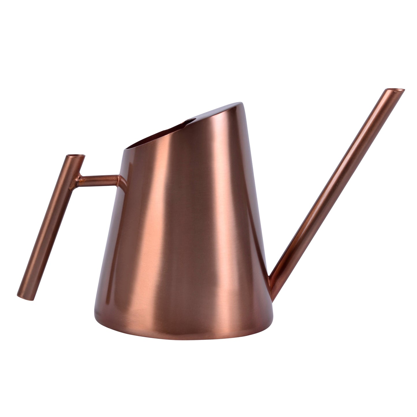 Ava Bronze Watering Can