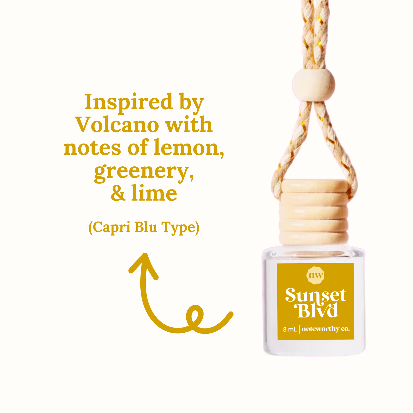 Scented Oil Car Hanger Diffusers | Core Collection