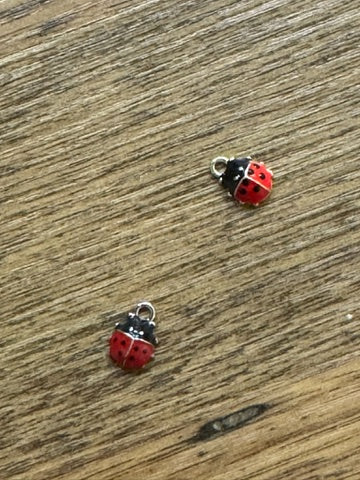 Last of the Bugs NOAH Charm