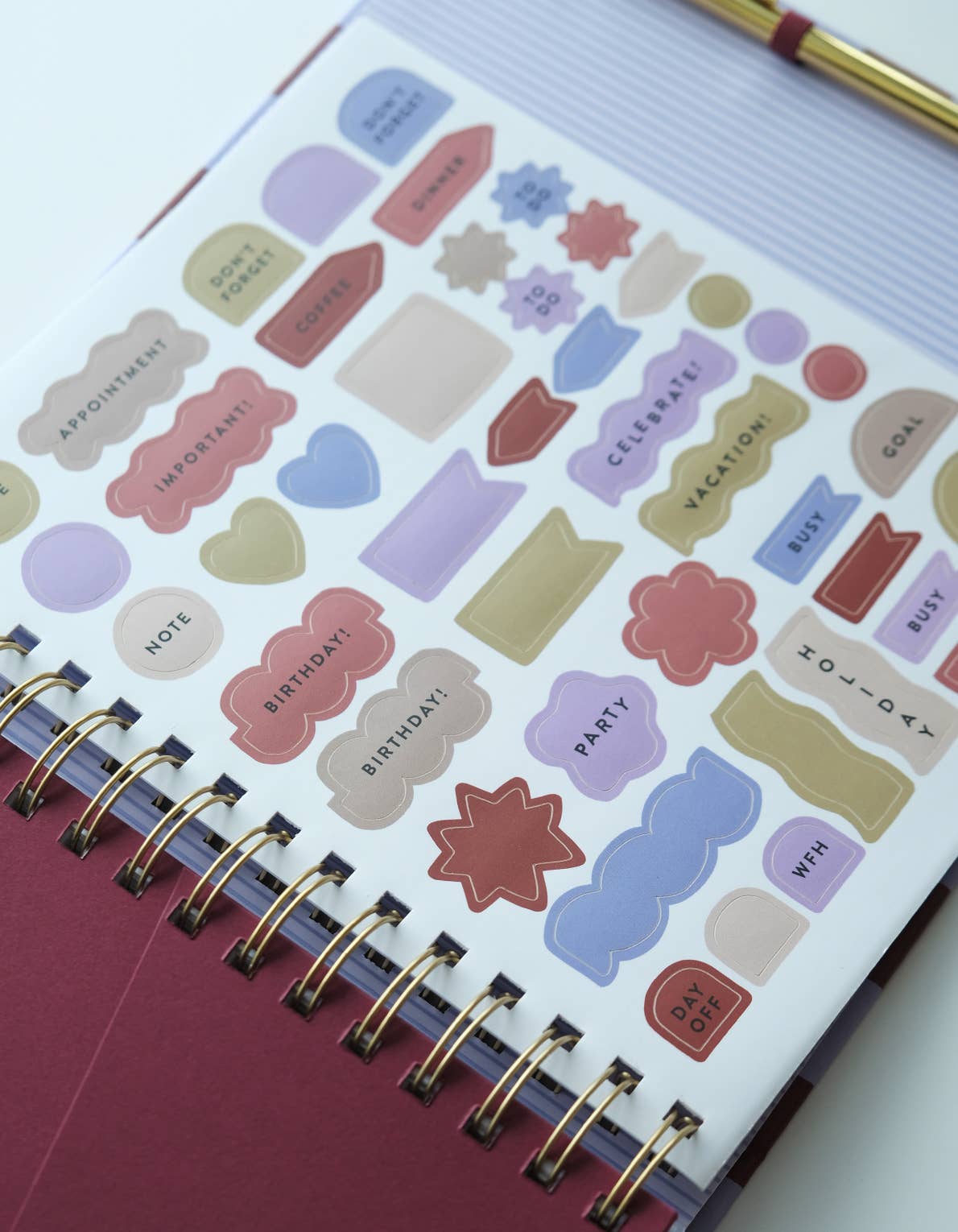 2027 Periwinkle Checks Planner