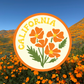California Poppy Sticker