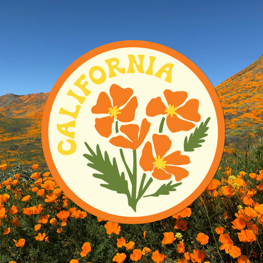 California Poppy Sticker