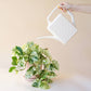 Breeze Block Watering Can | Ivory