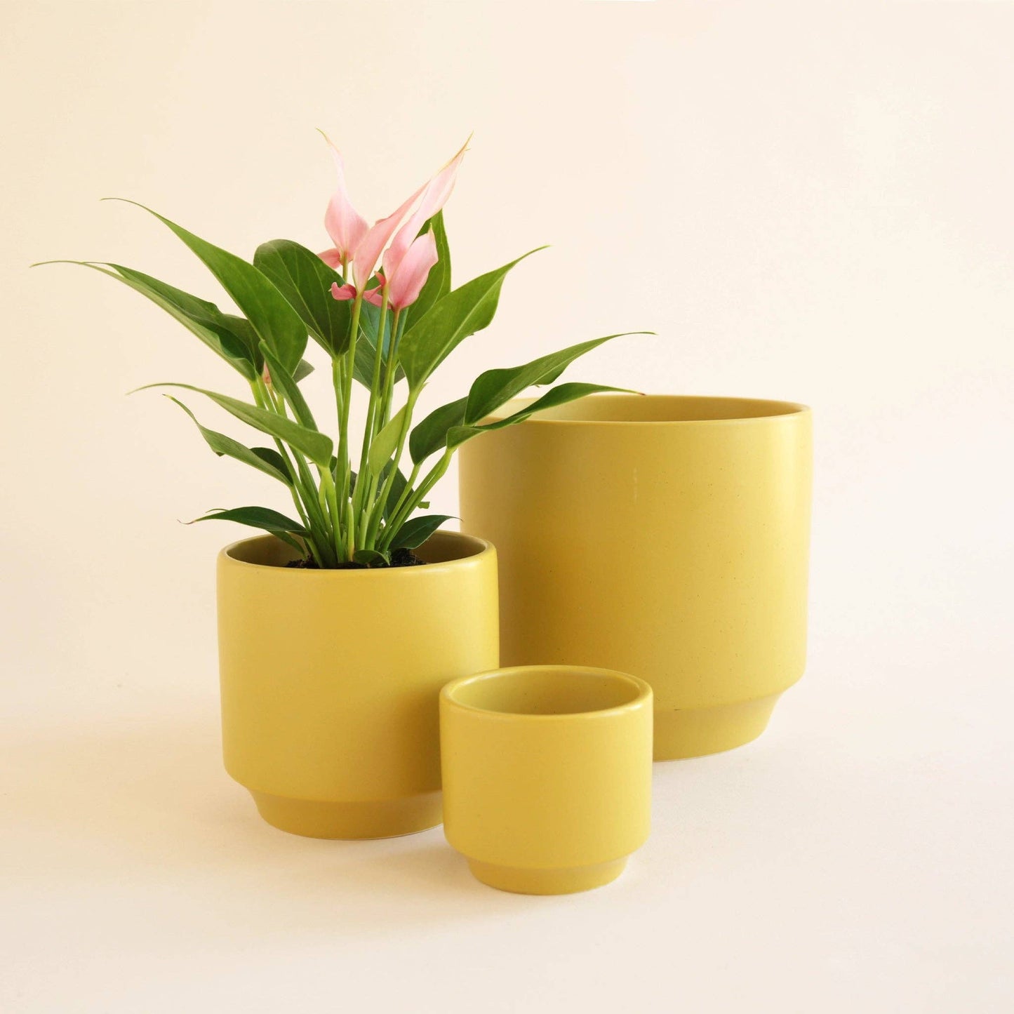 Parker Pot | Palm Speckle 4.5" & 6.75"