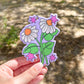 Desert Daisies Air Freshener