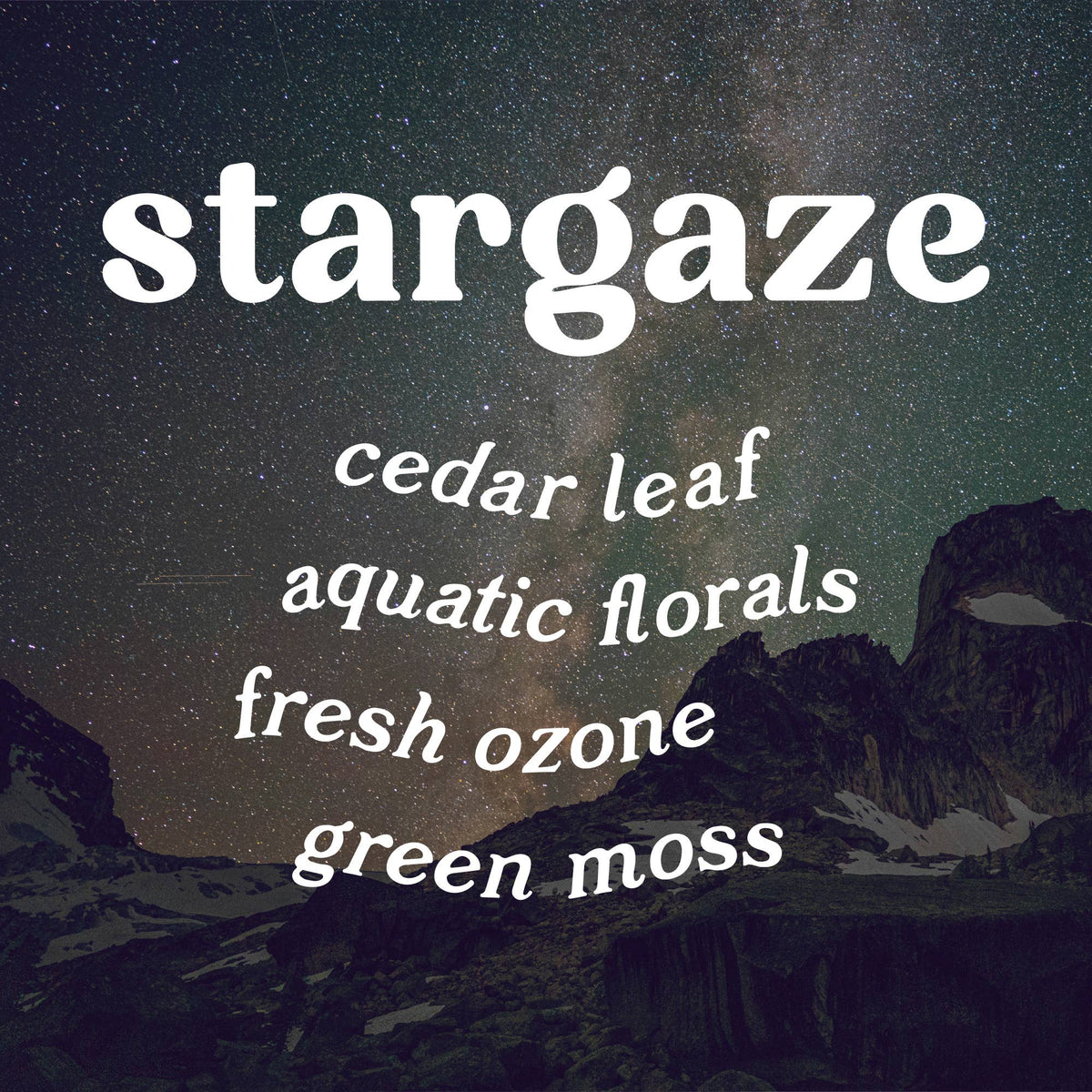 Stargaze 9 oz. Candle