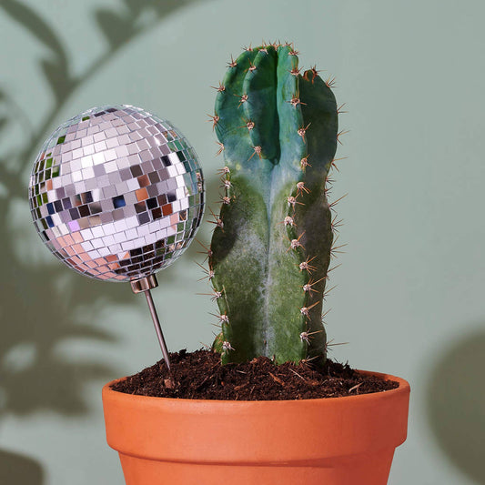 Disco Queen - 4.5" Disco Decorative Plant Stake