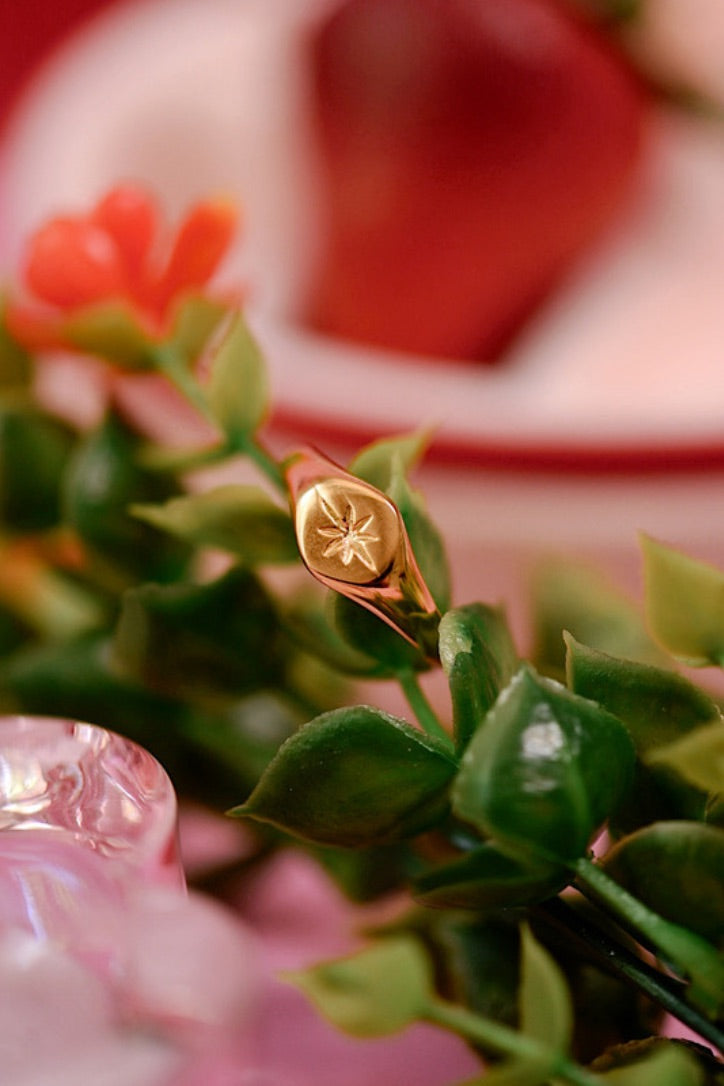 Star-Crossed Signet Ring