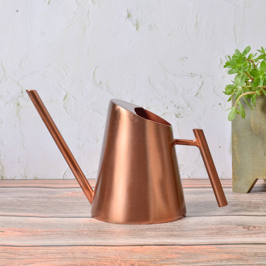 Ava Bronze Watering Can