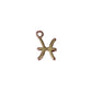 Zodiac Symbol Charm (Gold + Silver)