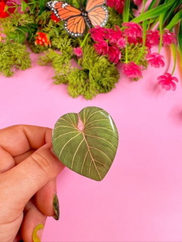 Monstera Leaf Phone Grip