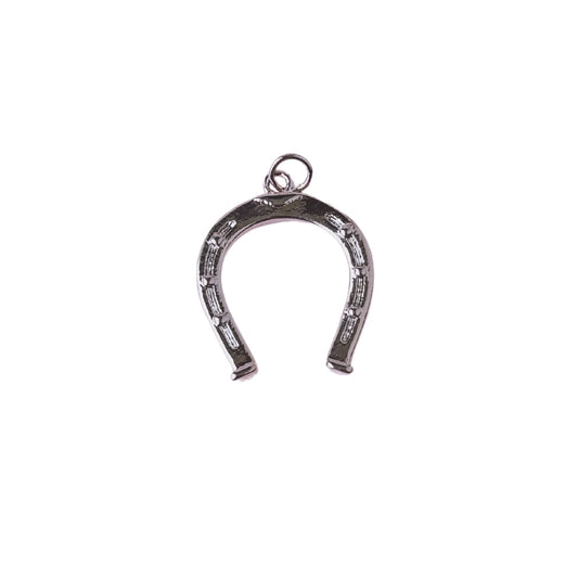 Lucky Horseshoe Silver Charm