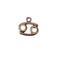 Zodiac Symbol Charm (Gold + Silver)