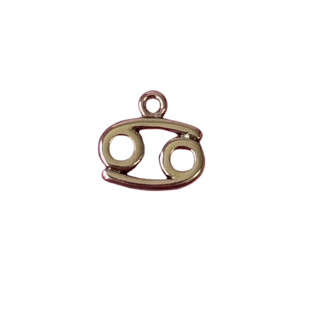Zodiac Symbol Charm (Gold + Silver)