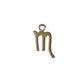 Zodiac Symbol Charm (Gold + Silver)