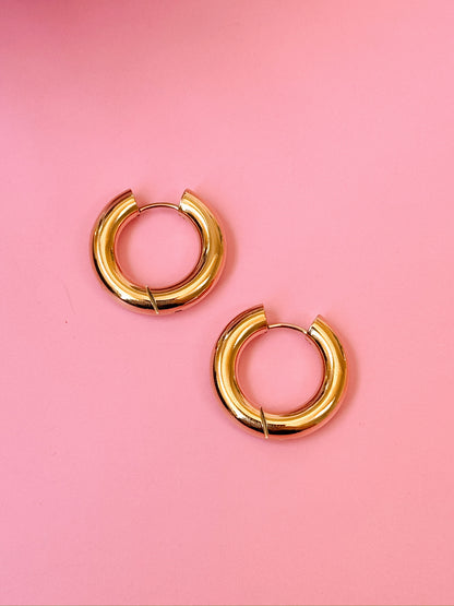 Lavish Hoops (Gold + Silver)