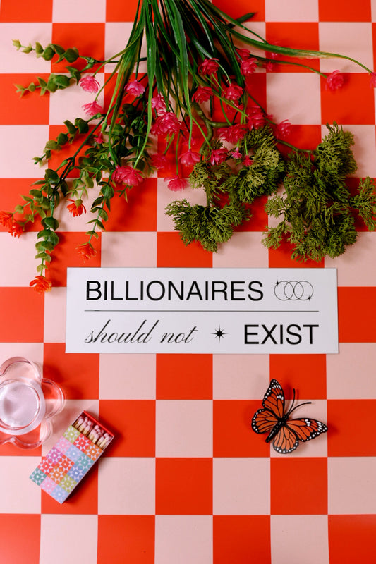 Billionaires Should Not Exist Car Bumper Magnet