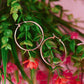Classic Hera Hoops (Gold + Silver)